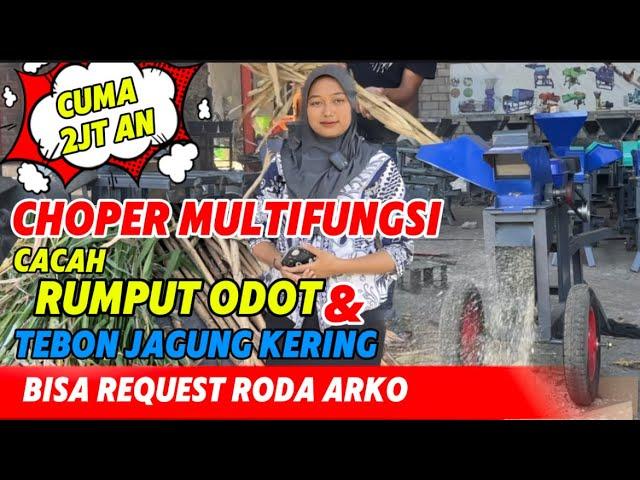 REVIEW CHOPER MULTIFUNGSI PENCACAH DAN PENEPUNG PALING LARIS!! Di pusat mesin blitar