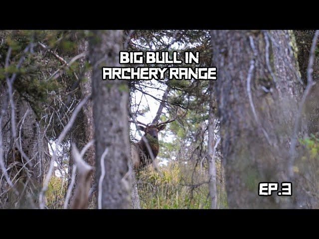 The Lows of Archery Elk Hunting | Into The Elk Woods [Ep.3]