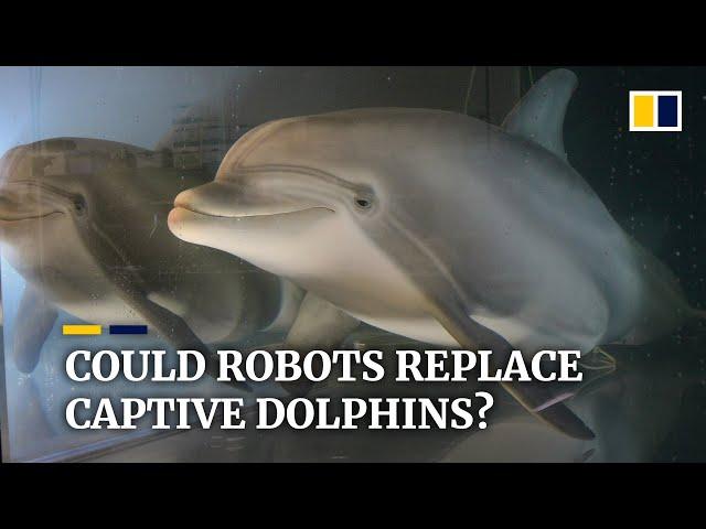 Hyperrealistic robot dolphins may replace captive animals at marine theme parks