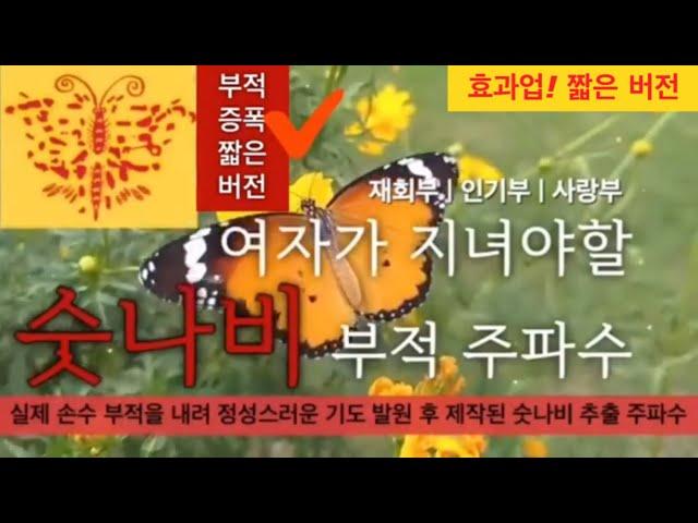 [효과두배강력]여자가 지녀야할숫나비 부적 주파수 |  좋은 남자운 상승 | 강력재회 | 인기몰이 | 매력폭발 | 부적을 지니는 것보다 흡수가 빠른 에너지 | 소원성취