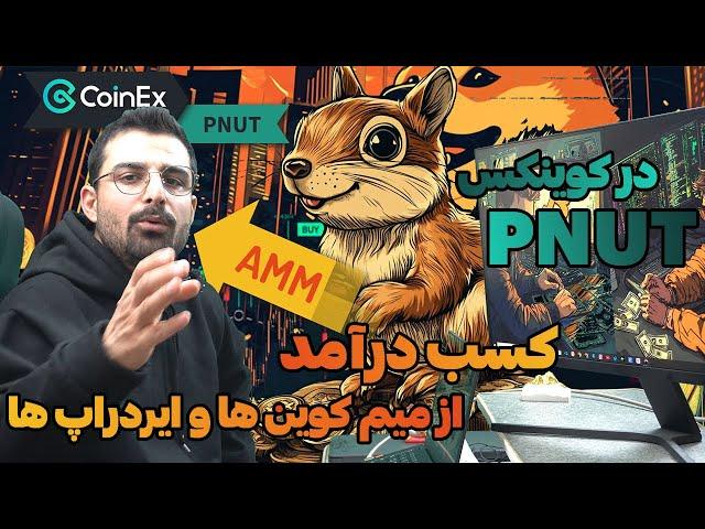 ارز PNUT در کوینکس | کسب درآمد از میم کوین ها