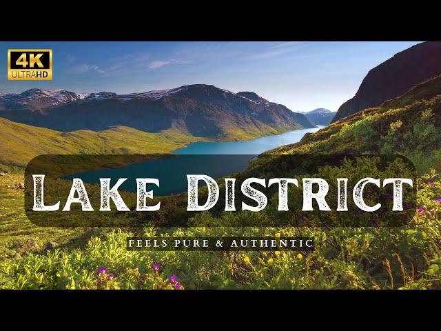 Lake District Day Trip | Windermere | Dove Cottage | Ambleside | Rydal Bridge | Orrest Head | 4K 