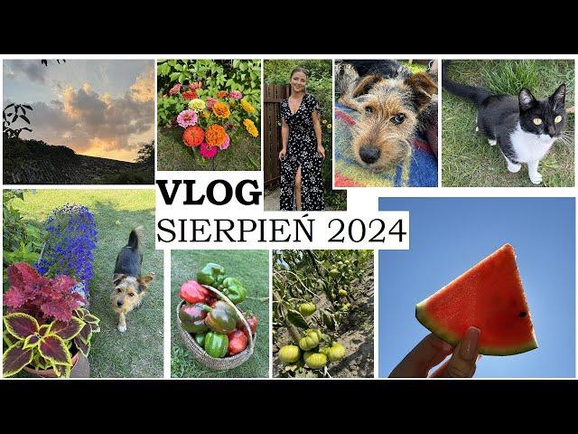 VLOG || SIERPIEŃ 2024