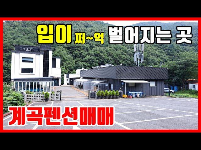  입이 쩌~억 멋진 계곡과 온수수영장을 갖춘 호텔급 펜션매매 숙박시설매매 풀빌라매매 #착한부동산