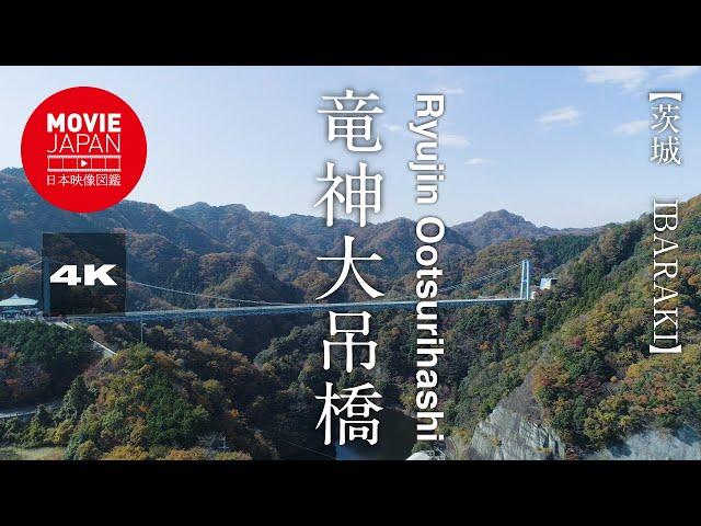 茨城　竜神大吊橋　紅葉 4K Ryujin Ootsurihashi