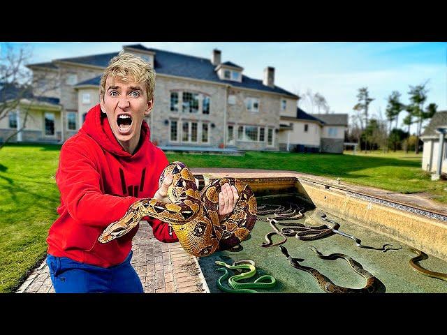 SNAKE PIT FOUND in my BACKYARD SWIMMING POOL!!