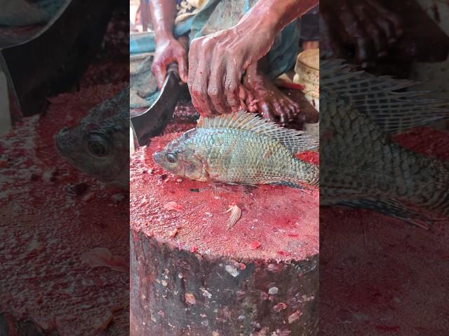 See How The Fastest Tilapia Fish Is Harvested At The Fish Market || #shorts #fishcutting_skills