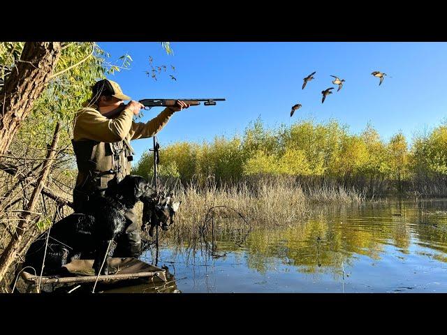 DUCK HUNTING A Tiny TIMBER HOLE On Public Land (Limited Out)