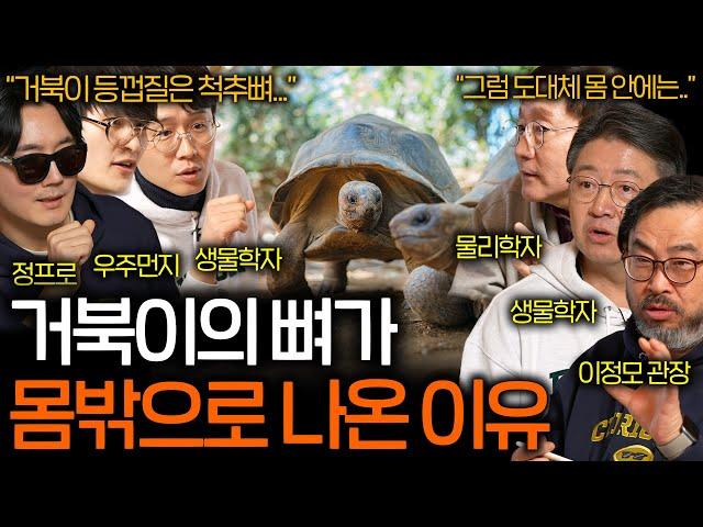 거북이는 왜 껍데기를 갖도록 진화했을까? | 과학을 보다 EP.106