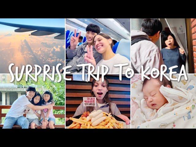 SURPRISE TRIP TO KOREA | FAMILY REUNION AFTER 4 YEARS | Korean & Brazilian International Couple 