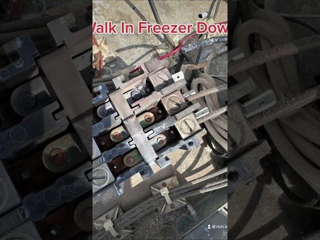Walk In Freezer Down!- Easy Fix Still Went  The Extra Mile #commercialrefrigeration #servicetech