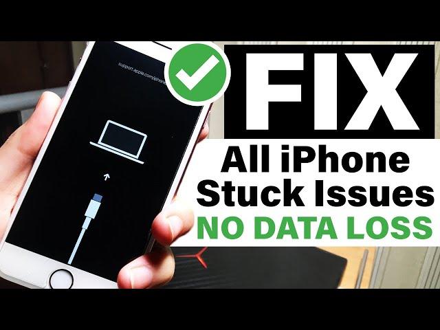 FIX IPHONE NOT TURNING ON/Stuck At Recovery Mode/Apple Logo/ iOS 13 and below - iPhone XR/XS/X/8/7/6