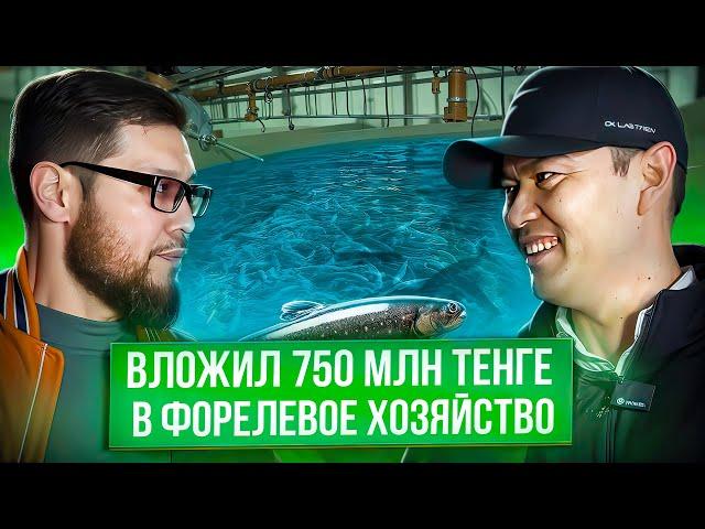 Вложил 750 млн в рыбный бизнес при сложных условиях. Бизнес бастау/ашу, бизнес идеялар