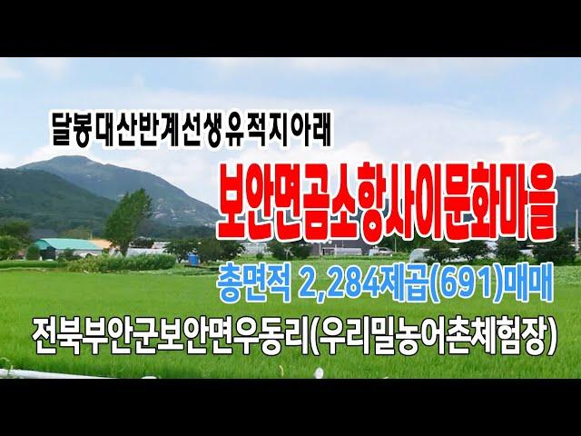 22-87[급매2억3천조정됨][보안면 우동리토지]천마산,달봉대산,보안제일교회,만화마을,계획관리,농림지역(691py)매매~