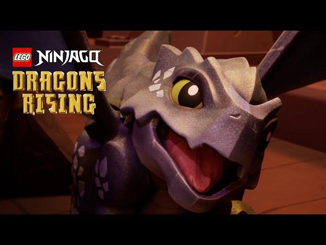 NINJAGO Dragons Rising | Baby Dragon Riyu