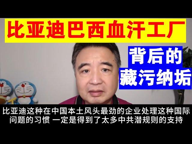 翟山鹰：比亚迪巴西血汗工厂背后的藏污纳垢丨比亚迪中国奴工