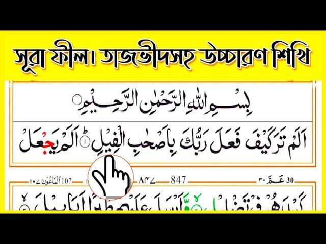 সূরা ফীল ¦¦ Surah Fil ¦¦ খুব সহজেই তাজভীদ সহকারে সহিহ শুদ্ধ উচ্চারণ শিখুন ¦¦ এসো কোরআন পড়া শিখি