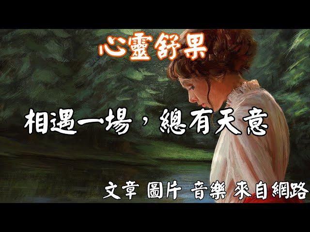 心靈舒果陳玉珠-相遇一場，總有天意