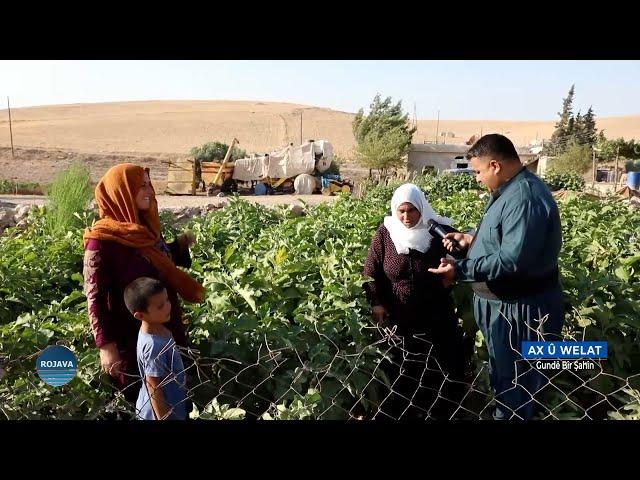 AX Û WELAT ||GUNDÊ BÎR ŞAHÎN KOBANÊ || 7 - 9 - 2024