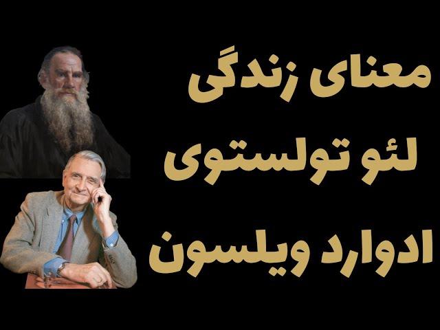 رازهایی درباره  معنای زندگی : کتاب اعتراف و معنای هستی انسان