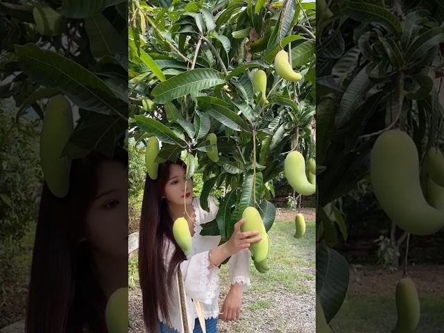 Fresh Fruits Picking From Home Garden #fruit #youtubeshorts #shorts