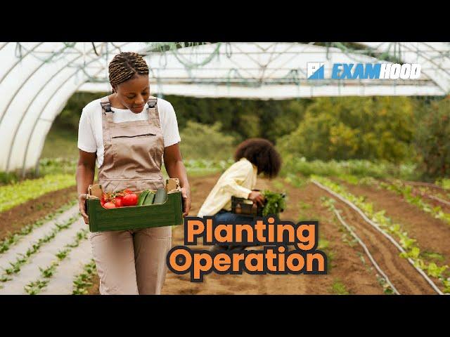 Planting operation