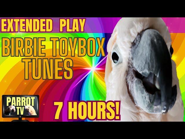 Birbie Toybox Tunes | Playful Happy Bird Music | 7HRS EXTENDED PLAY | Parrot TV for Your Bird Room