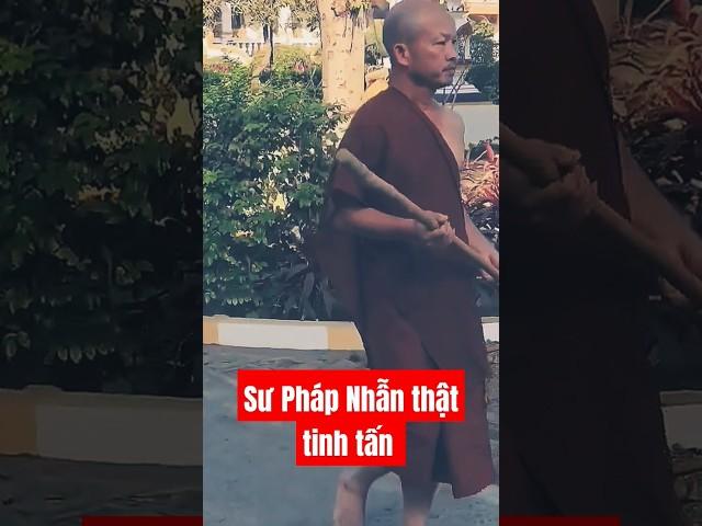 Sư Pháp Nhẫn thật tinh tấn #lavlognt #doanvanbau #suphapnhan