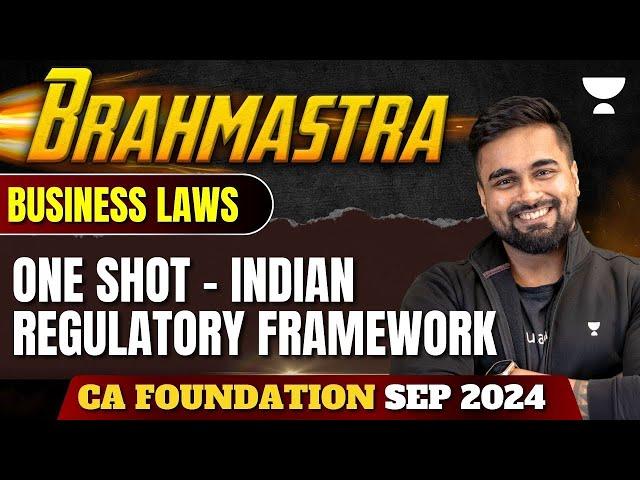 One Shot | Indian Regulatory Framework | Partnership Act | Business Laws | CA Foundation Sep 2024