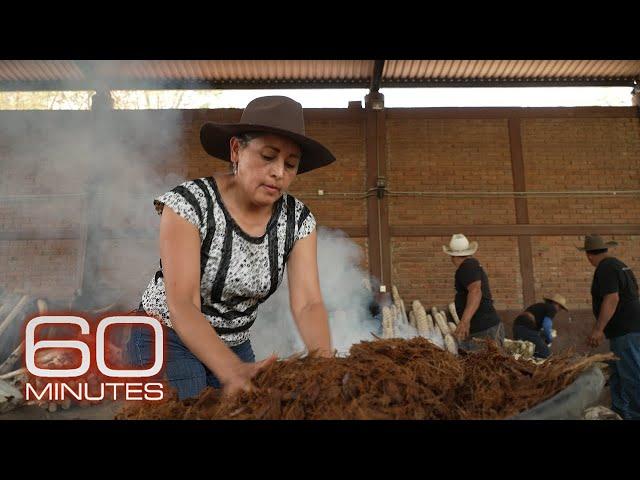 Mezcal producers preserve traditional methods as demand for liquor grows | 60 Minutes