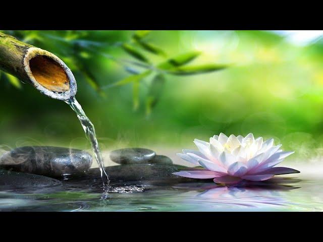 Relaxing Music with Water Sounds Meditation - Bamboo Water Fountain Healing - Sleep