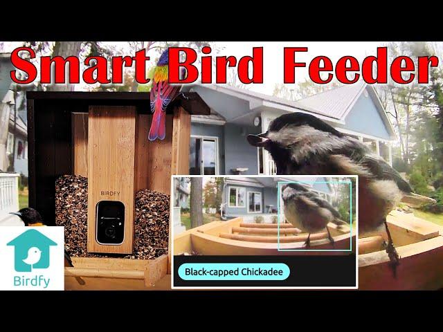 Review: Birdfy Smart Camera Birdfeeder from Netvue