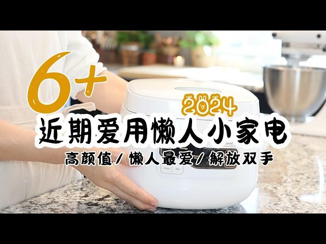 最新！6个近期爱用厨房小家电 | 懒人家务好物 | 厨房好物分享 |  陶瓷内胆电饭煲/Hamilton Beach干果机/Cuisinart火锅切肉机/Mini榨汁机/高颜值吐司机/自动割草机器人