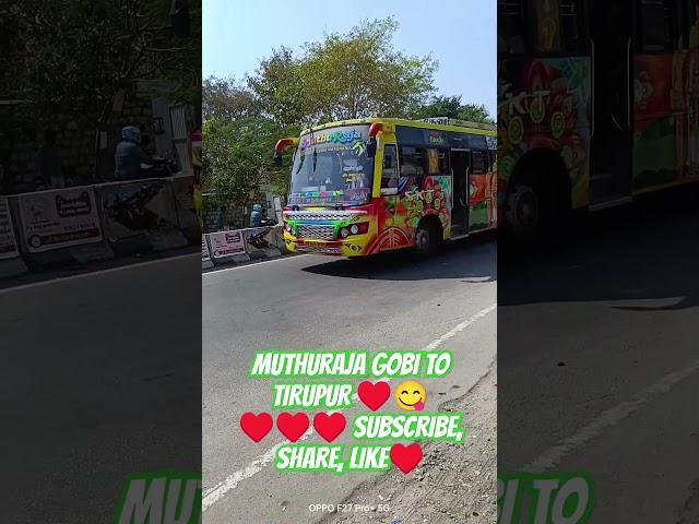 MUTHURAJA#kms#automobile#ksrtcbus#traintravel#travel#trainjourney#mms#tts#kovaibusdriver#tnstc#msrtc