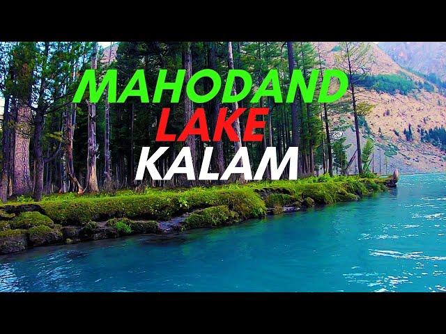 How I did Mahodand Lake Travel | Best Camping Place of Pakistan | Mahodand and Saifullah Jheel