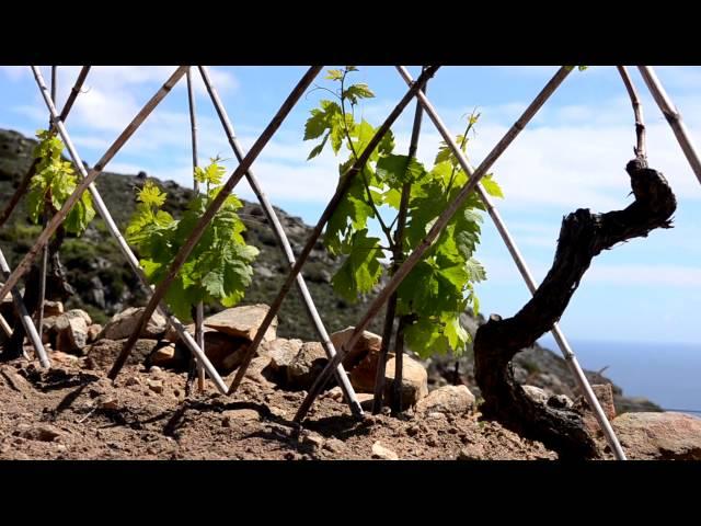 Emozioni dalla Riserva MAB UNESCO Isole di Toscana