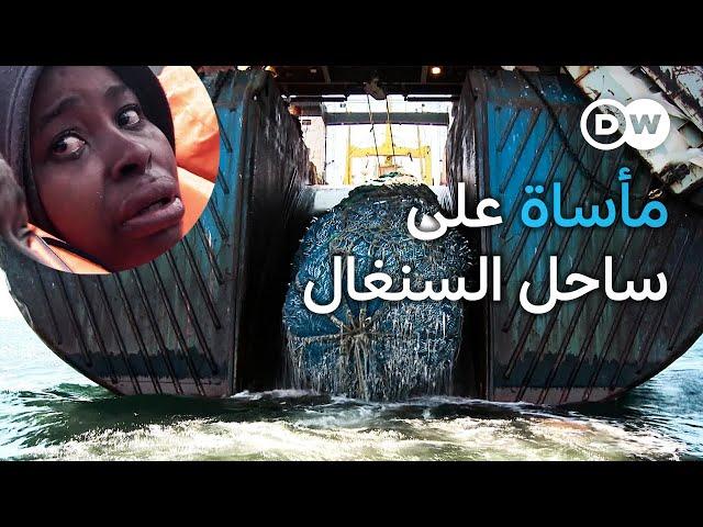 وثائقي | السنغال - نهب الثروة السمكية وتحطيم بنية المجتمع | وثائقية دي دبليو