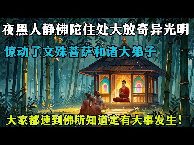 夜黑人静佛陀住处大放奇异光明，惊动了文殊菩萨和诸大弟子，大家都速到佛所，知道定有大事发生！【文殊师利所说般若波罗蜜经】