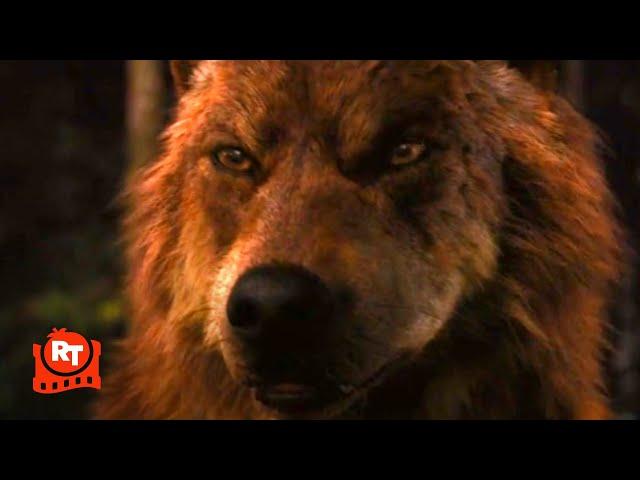 The Twilight Saga: Breaking Dawn Part 1 (2011) - Jacob Imprints Scene | Movieclips