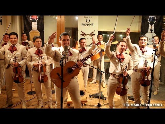 EL SIQUISIRI | MARIACHI NUEVO TECALITLAN  | Video Oficial | Grabado en Vivo