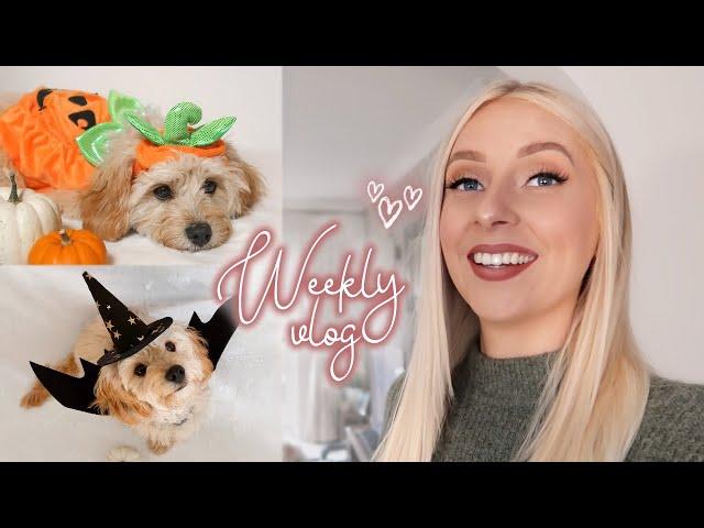 a deep chat & puppy’s 1st halloween!  | WEEKLY VLOG