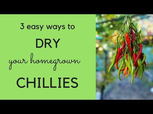 How to dry chillies - three easy ways