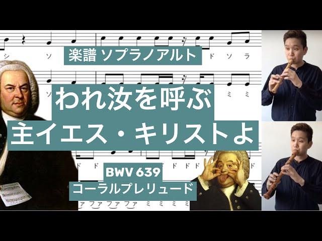 [ リコーダー演奏  ] ソプラノリコーダー アルトリコーダー 「 われ汝を呼ぶ　主イエス・キリストよ」BWV639　コーラルプレリュード（ フルート ・ バイオリン ） コダリコダ