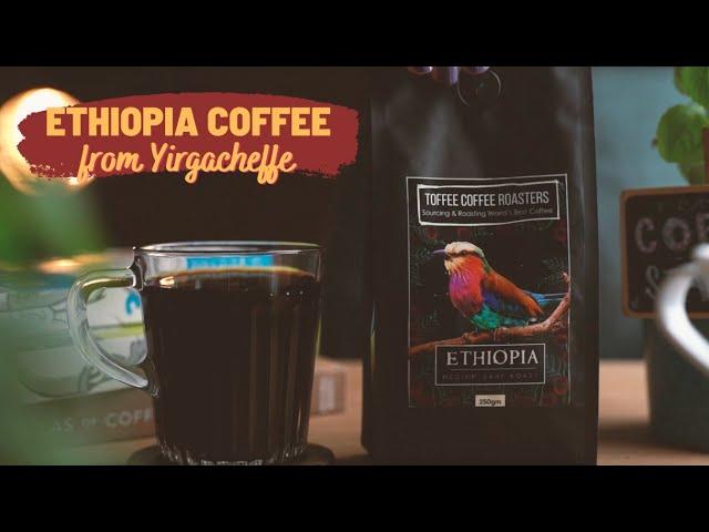 Ethiopia Coffee | Microlot Coffee | Toffee Coffee Roasters