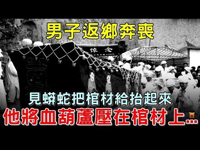 民間故事：男子奔喪，看到蟒蛇抬棺，他將血葫蘆壓在棺材上...【楓牛愛世界】