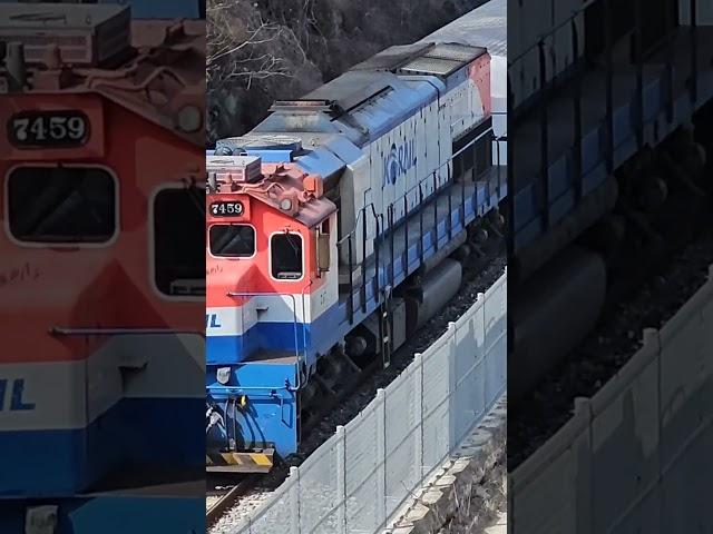 교량위서 보는 무궁화열차 #디젤기관차 #디젤기관차 #railway