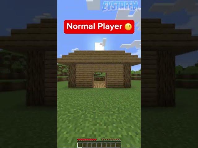 Normal Minecraft Player vs Lazy