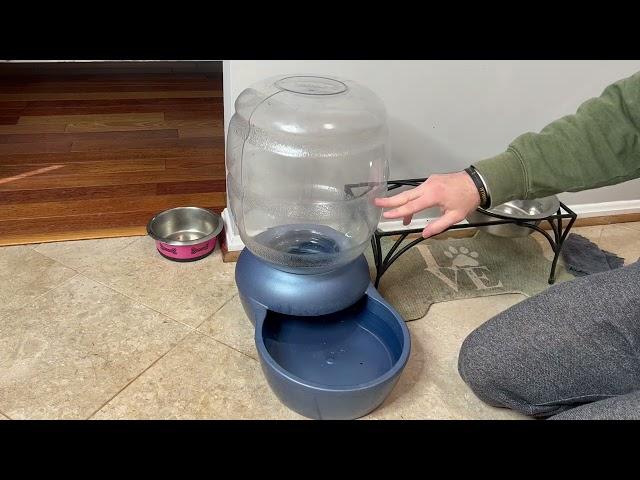 Gravity Dog Water Bowl