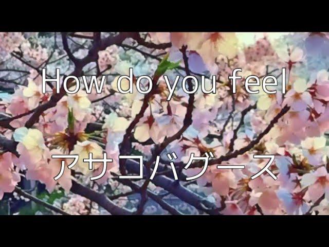 アサコバグース/How do you feel お花見ver #asakobagus #japaneserockband