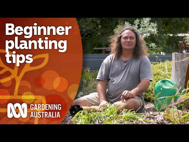 How to plant for beginners | Gardening 101 | Gardening Australia